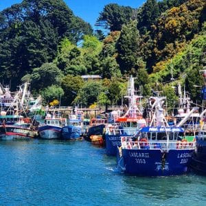 Activa Sostenibles por Naturaleza 2024 3
